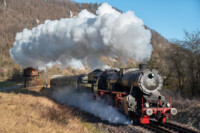 (c) Matthias Büttner